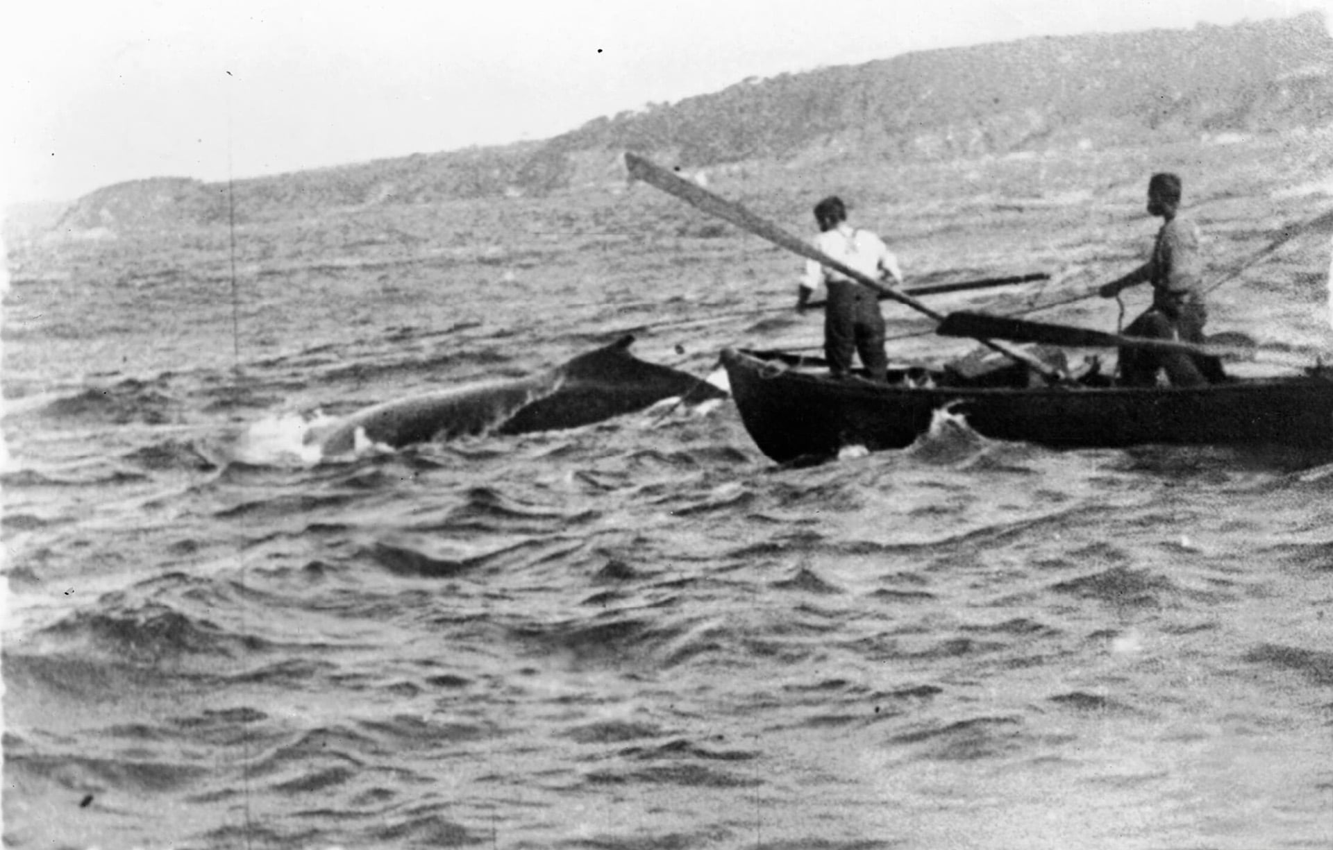 C E Wellings Collection