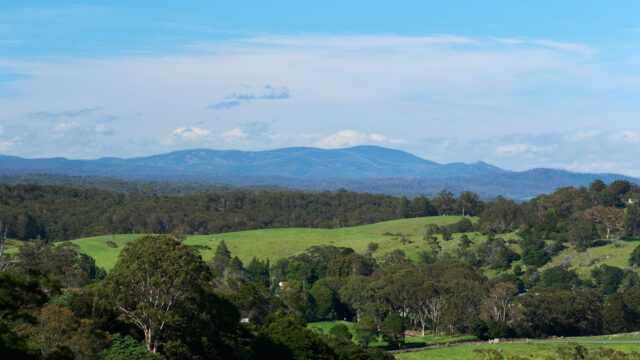 Identity & Belonging