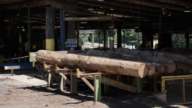 Logging Fishing & Whaling