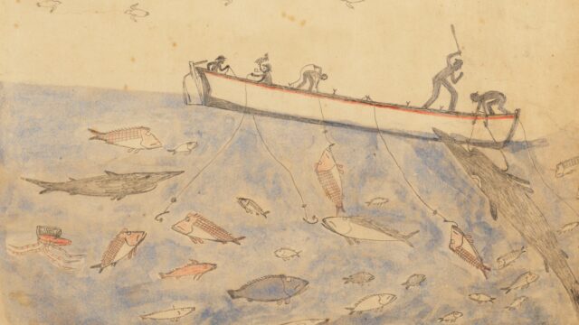 Micky of Ulladulla Collection