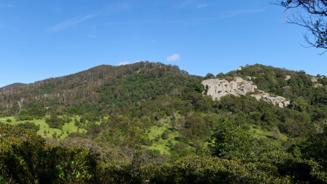 Women’s & Men's Business