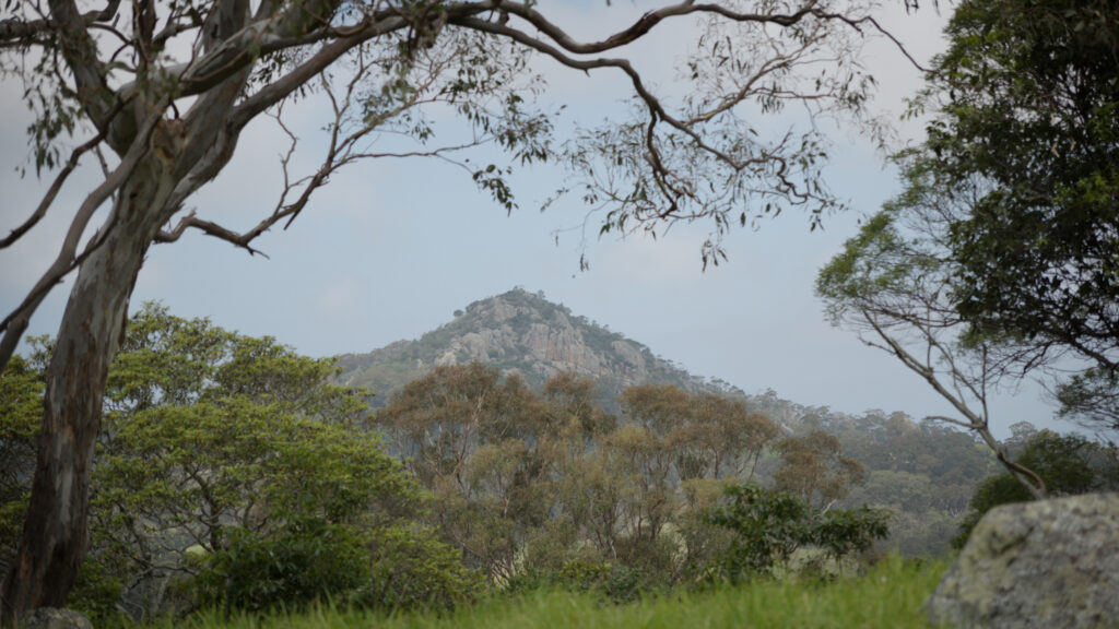 Scenic View of mountaintop from the forest