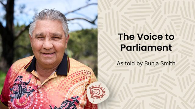 The Voice to Parliament