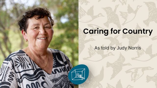 Caring for Country