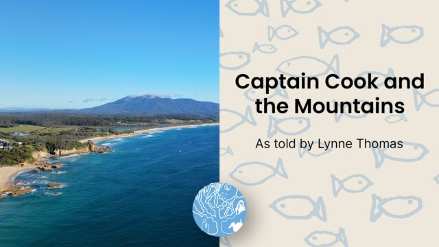 Captain Cook and the Mountains