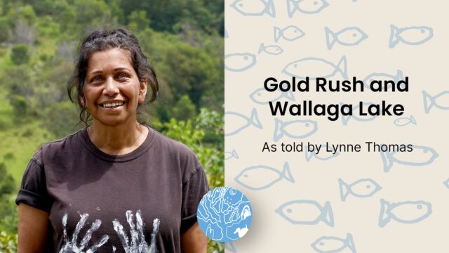 Gold Rush and Wallaga Lake