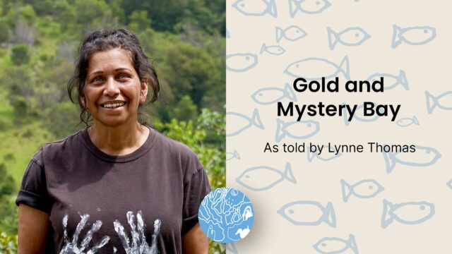 Gold and Mystery Bay