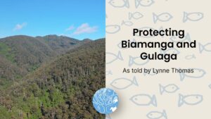 Lynne Thomas - Protecting Biamanga and Gulaga