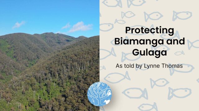 Protecting Biamanga and Gulaga