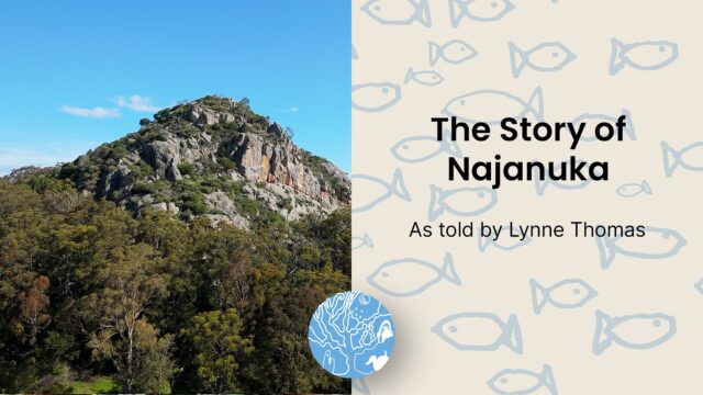 The Story of Najanuka