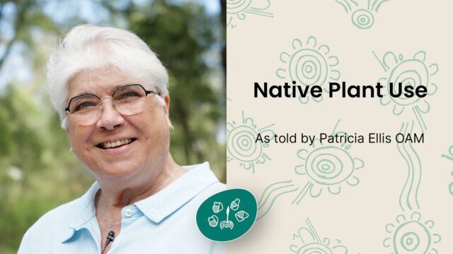 Native Plant Use