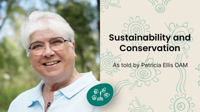 Sustainability and Conservation