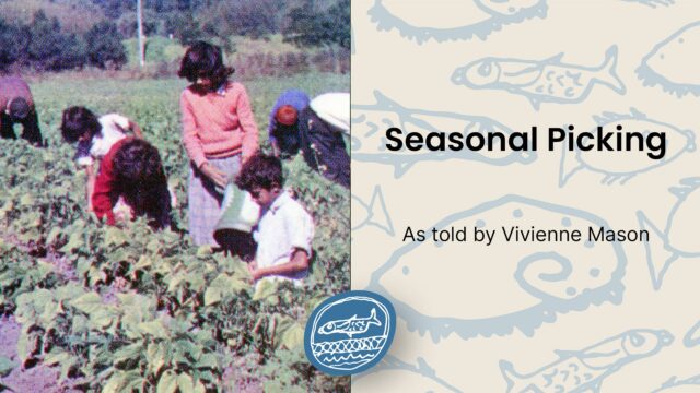 Seasonal Picking