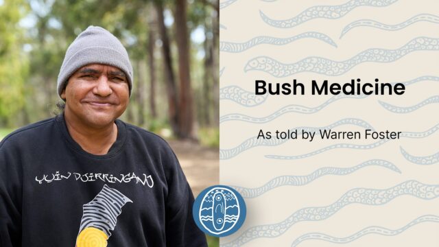 Bush Medicine