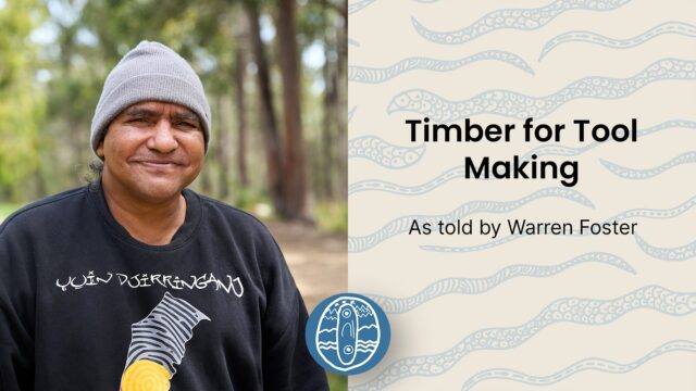 Timber for Tool Making