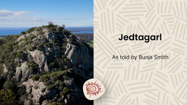 Jedtagarl