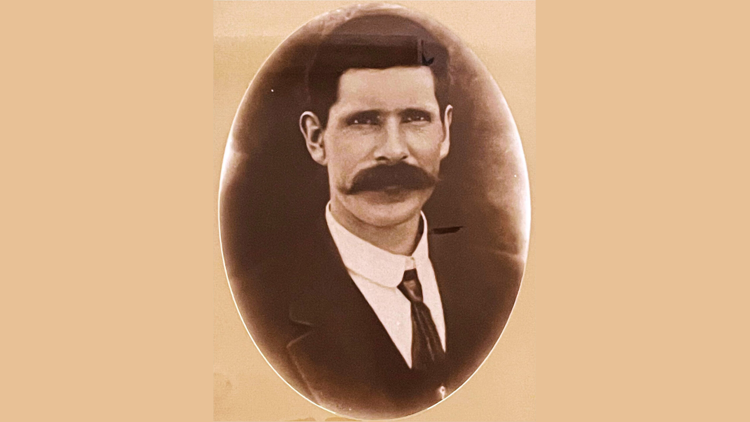 Eden Killer Whale Museum collection