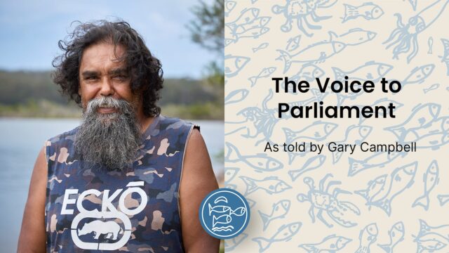 The Voice to Parliament