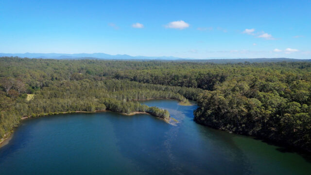 Invasion Day / Survival Day