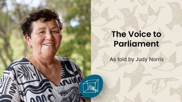 The Voice to Parliament