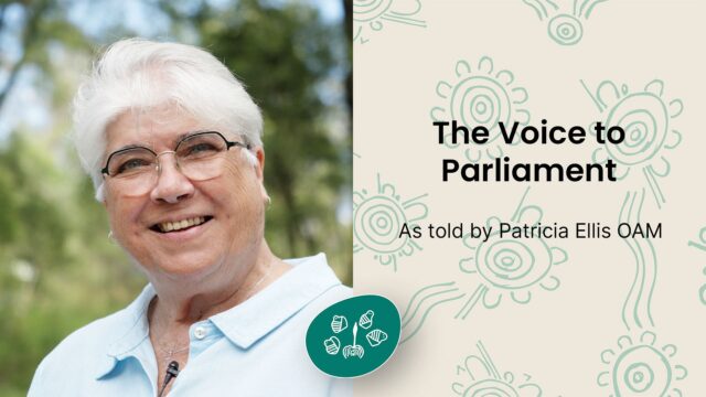 The Voice to Parliament