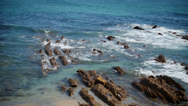 Spirituality & Religion