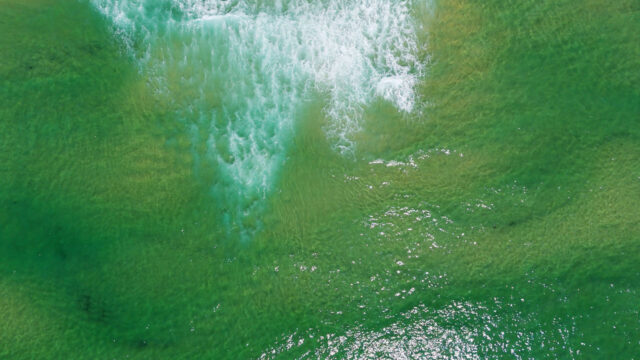 The Voice to Parliament