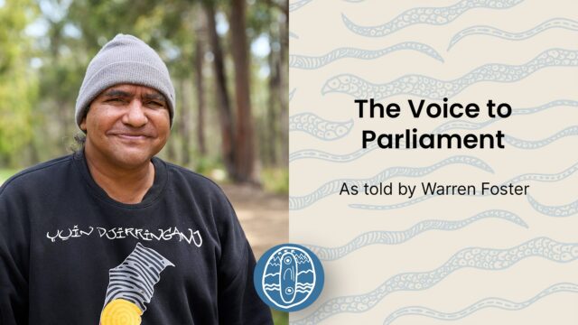 The Voice to Parliament