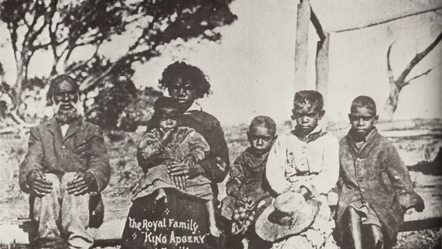 Rene Davidson Collection